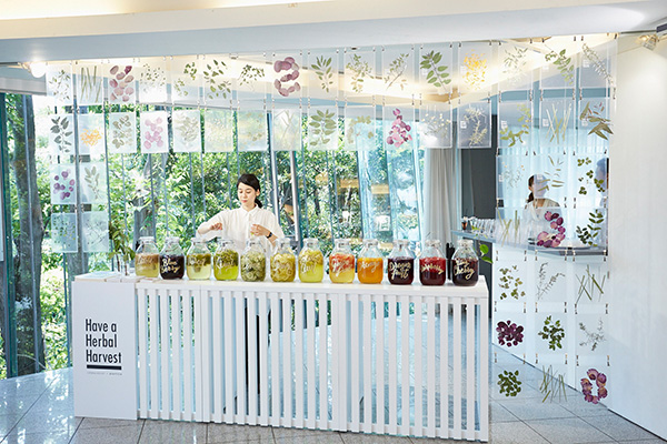Have a Herbal Harvest ケータリングイベント