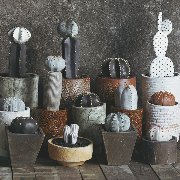 陶植/STUDIO.ZOK